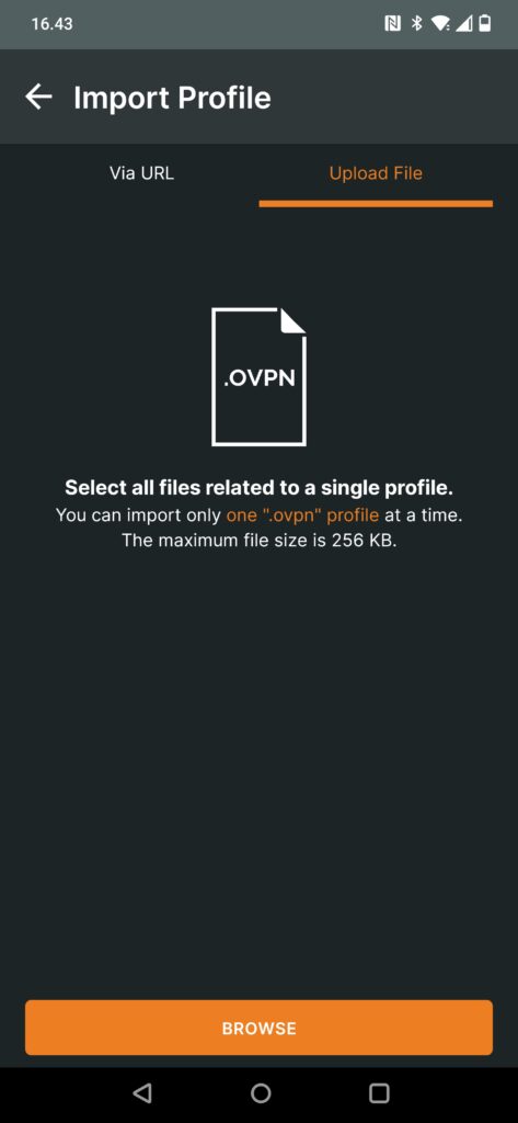 Et skærmbillede af en computer med en openvpn-klient.