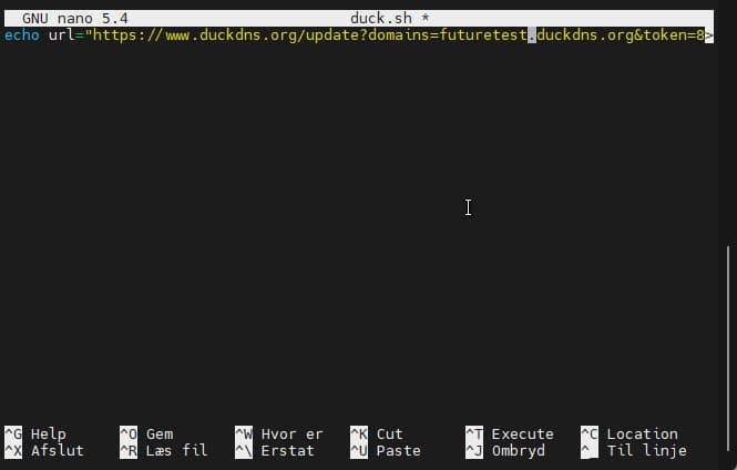 Et skærmbillede af en openvpn-konfiguration på en computer.