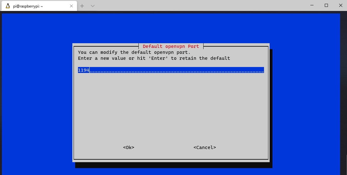 Et skærmbillede af en computerskærm med blå baggrund, der viser OpenVPN-grænsefladen.