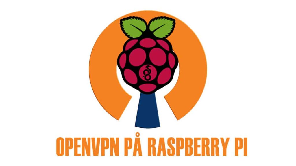 Et openvpn-logo med et hindbærformet objekt.