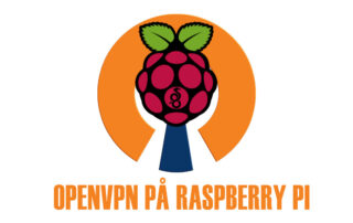 Et openvpn-logo med et hindbærformet objekt.