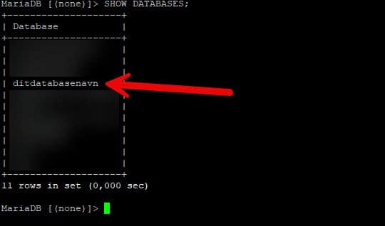 En computerskærm med en rød pil, der peger på en testdatabase.