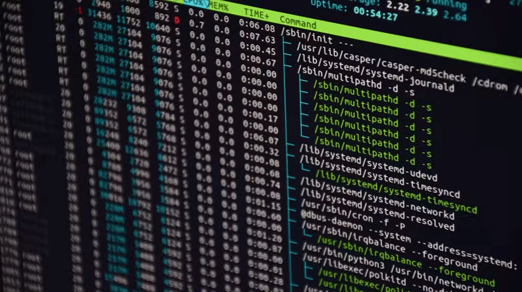 En computerskærm viser et systemovervågningsværktøj i et Linux-terminalvindue, der viser kørende processer, CPU-brug og filstier - ideelt til styring af en server.
